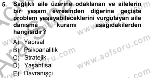 Anne Baba Eğitimi Dersi Ara Sınavı Deneme Sınav Soruları 5. Soru