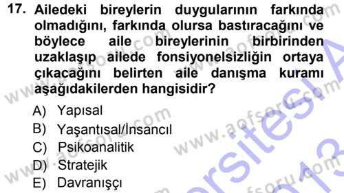 Anne Baba Eğitimi Dersi 2012 - 2013 Yılı (Final) Dönem Sonu Sınav Soruları 17. Soru
