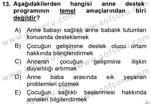 Anne Baba Eğitimi Dersi 2016 - 2017 Yılı (Vize) Ara Sınavı 13. Soru