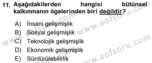 Eğitim Bilimine Giriş Dersi 2024 - 2025 Yılı (Final) Dönem Sonu Sınav Soruları 11. Soru
