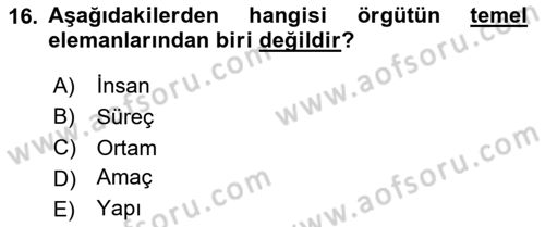Eğitim Bilimine Giriş Dersi 2025 - 2026 Yılı (Final) Dönem Sonu Sınav Soruları 16. Soru