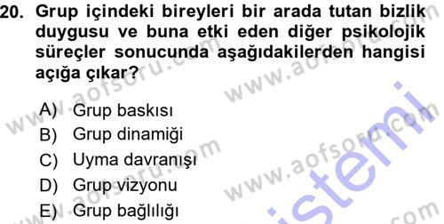 Sınıf Yönetimi Dersi 2015 - 2016 Yılı (Vize) Ara Sınav Soruları 20. Soru