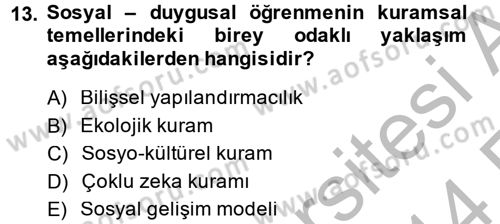 Özel Öğretim Yöntemleri 2 Dersi 2013 - 2014 Yılı (Vize) Ara Sınav Soruları 13. Soru