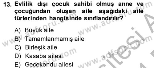 Özel Öğretim Yöntemleri 2 Dersi 2013 - 2014 Yılı (Final) Dönem Sonu Sınav Soruları 13. Soru