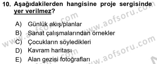 Özel Öğretim Yöntemleri 2 Dersi 2016 - 2017 Yılı 3 Ders Sınav Soruları 10. Soru