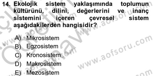 Özel Öğretim Yöntemleri 2 Dersi 2016 - 2017 Yılı 3 Ders Sınav Soruları 14. Soru
