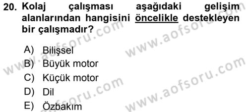 Özel Öğretim Yöntemleri 2 Dersi 2016 - 2017 Yılı (Vize) Ara Sınavı 20. Soru