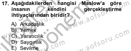 Kişisel Satış Teknikleri Dersi 2012 - 2013 Yılı (Vize) Ara Sınav Soruları 17. Soru