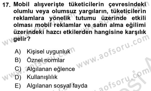 E-Perakendecilik Dersi 2022 - 2023 Yılı Yaz Okulu Sınav Soruları 17. Soru