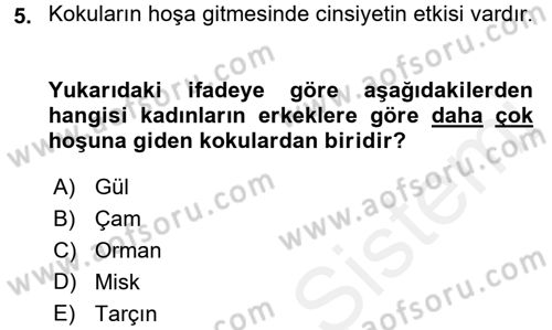 Mağaza Atmosferi Dersi 2017 - 2018 Yılı (Final) Dönem Sonu Sınavı 5. Soru