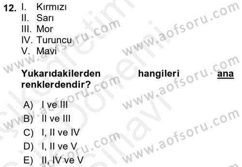 Mağaza Atmosferi Dersi 2018 - 2019 Yılı (Final) Dönem Sonu Sınav Soruları 12. Soru