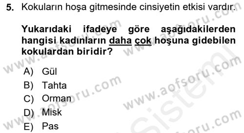 Mağaza Atmosferi Dersi 2018 - 2019 Yılı (Final) Dönem Sonu Sınavı 5. Soru