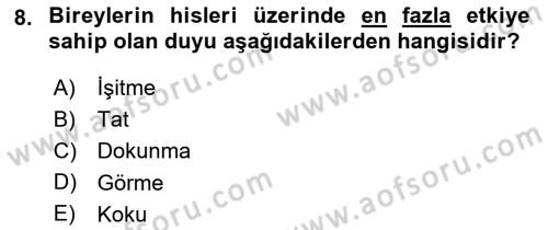 Mağaza Atmosferi Dersi 2019 - 2020 Yılı (Final) Dönem Sonu Sınavı 8. Soru