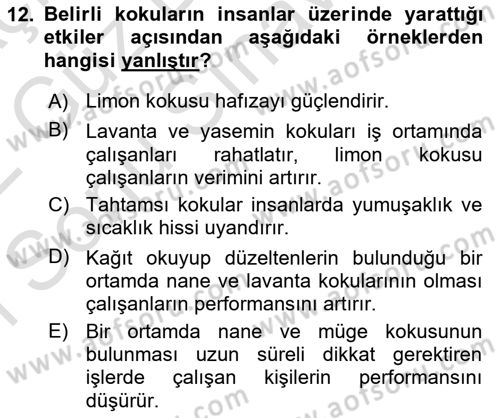 Mağaza Atmosferi Dersi 2021 - 2022 Yılı (Final) Dönem Sonu Sınavı 12. Soru