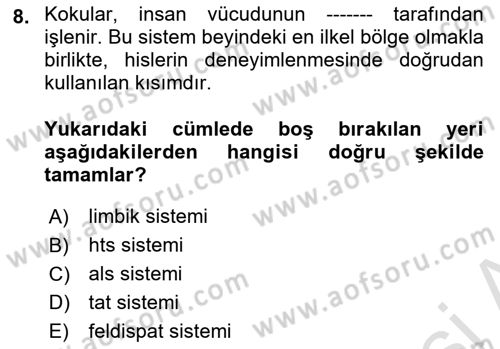 Mağaza Atmosferi Dersi 2022 - 2023 Yılı (Final) Dönem Sonu Sınavı 8. Soru