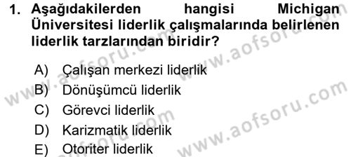 Organizasyonlarda Davranış Dersi Ara Sınavı Deneme Sınav Soruları 1. Soru
