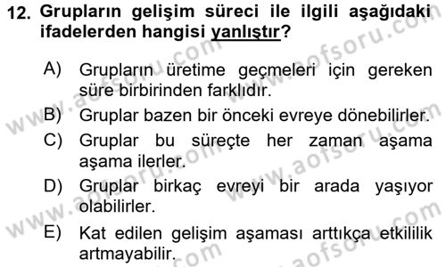 Organizasyonlarda Davranış Dersi Ara Sınavı Deneme Sınav Soruları 12. Soru