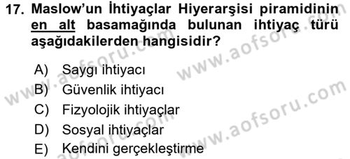 Organizasyonlarda Davranış Dersi Ara Sınavı Deneme Sınav Soruları 17. Soru
