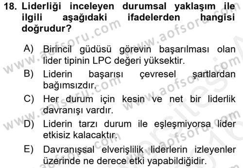 Organizasyonlarda Davranış Dersi Ara Sınavı Deneme Sınav Soruları 18. Soru