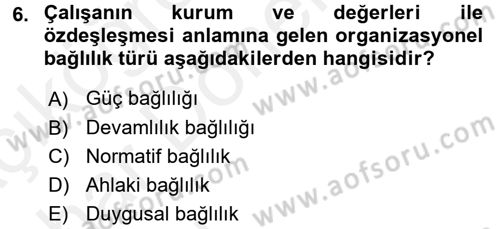 Organizasyonlarda Davranış Dersi Ara Sınavı Deneme Sınav Soruları 6. Soru