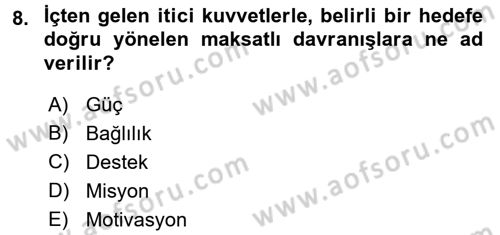 Organizasyonlarda Davranış Dersi Ara Sınavı Deneme Sınav Soruları 8. Soru