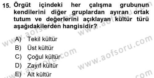 Organizasyonlarda Davranış Dersi 2015 - 2016 Yılı (Final) Dönem Sonu Sınav Soruları 15. Soru