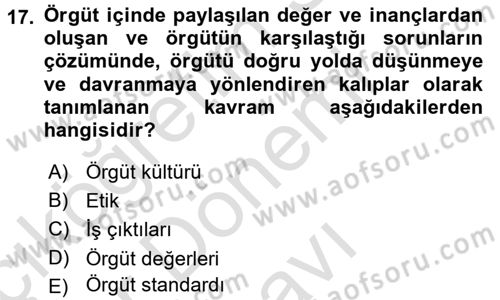Organizasyonlarda Davranış Dersi 2015 - 2016 Yılı (Final) Dönem Sonu Sınav Soruları 17. Soru
