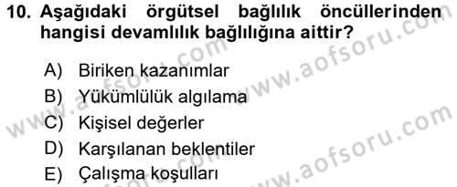 Organizasyonlarda Davranış Dersi Ara Sınavı Deneme Sınav Soruları 10. Soru