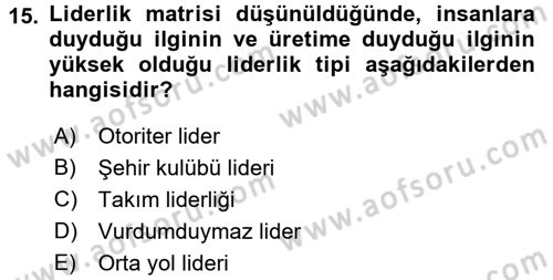Organizasyonlarda Davranış Dersi Ara Sınavı Deneme Sınav Soruları 15. Soru