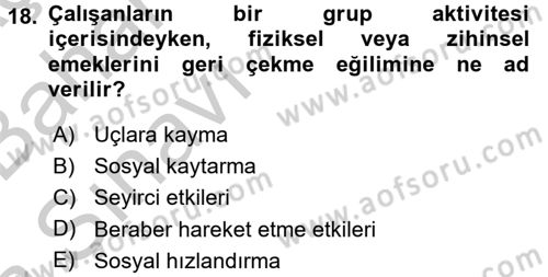 Organizasyonlarda Davranış Dersi Ara Sınavı Deneme Sınav Soruları 18. Soru