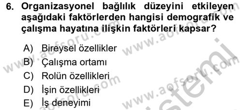 Organizasyonlarda Davranış Dersi Ara Sınavı Deneme Sınav Soruları 6. Soru