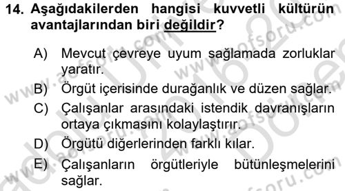 Organizasyonlarda Davranış Dersi 2016 - 2017 Yılı (Final) Dönem Sonu Sınav Soruları 14. Soru