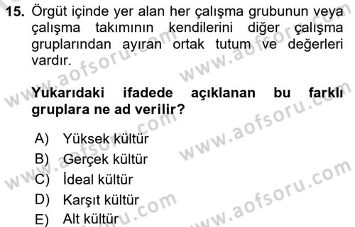 Organizasyonlarda Davranış Dersi 2016 - 2017 Yılı (Final) Dönem Sonu Sınav Soruları 15. Soru