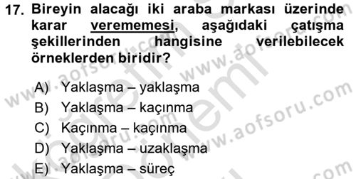 Organizasyonlarda Davranış Dersi 2016 - 2017 Yılı (Final) Dönem Sonu Sınav Soruları 17. Soru
