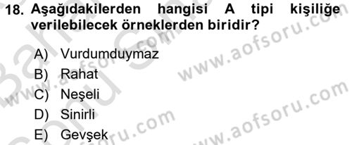 Organizasyonlarda Davranış Dersi 2016 - 2017 Yılı (Final) Dönem Sonu Sınav Soruları 18. Soru