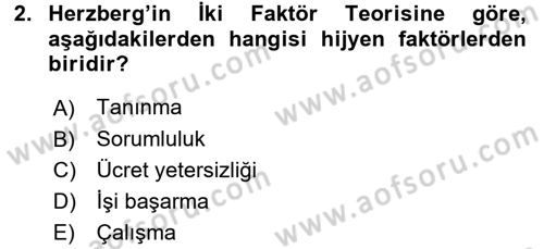 Organizasyonlarda Davranış Dersi 2016 - 2017 Yılı (Final) Dönem Sonu Sınav Soruları 2. Soru
