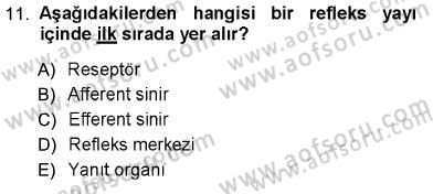 Psikolojiye Giriş Dersi 2012 - 2013 Yılı (Vize) Ara Sınav Soruları 11. Soru