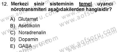 Psikolojiye Giriş Dersi 2012 - 2013 Yılı (Vize) Ara Sınav Soruları 12. Soru