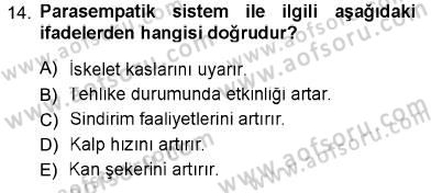 Psikolojiye Giriş Dersi 2012 - 2013 Yılı (Vize) Ara Sınav Soruları 14. Soru
