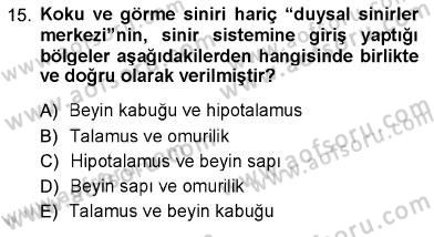 Psikolojiye Giriş Dersi 2012 - 2013 Yılı (Vize) Ara Sınav Soruları 15. Soru