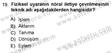 Psikolojiye Giriş Dersi 2012 - 2013 Yılı (Vize) Ara Sınav Soruları 19. Soru