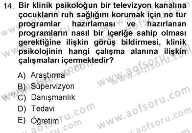 Psikolojiye Giriş Dersi 2012 - 2013 Yılı (Final) Dönem Sonu Sınav Soruları 14. Soru