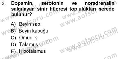 Psikolojiye Giriş Dersi 2012 - 2013 Yılı (Final) Dönem Sonu Sınav Soruları 3. Soru