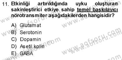 Psikolojiye Giriş Dersi 2013 - 2014 Yılı (Vize) Ara Sınav Soruları 11. Soru