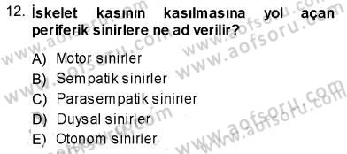 Psikolojiye Giriş Dersi 2013 - 2014 Yılı (Vize) Ara Sınav Soruları 12. Soru