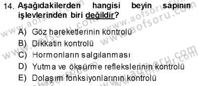 Psikolojiye Giriş Dersi 2013 - 2014 Yılı (Vize) Ara Sınav Soruları 14. Soru