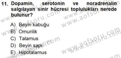 Psikolojiye Giriş Dersi 2014 - 2015 Yılı (Vize) Ara Sınav Soruları 11. Soru
