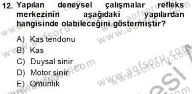 Psikolojiye Giriş Dersi 2014 - 2015 Yılı (Vize) Ara Sınav Soruları 12. Soru