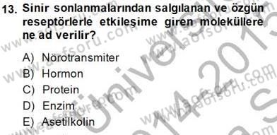 Psikolojiye Giriş Dersi 2014 - 2015 Yılı (Vize) Ara Sınav Soruları 13. Soru