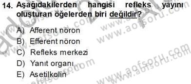 Psikolojiye Giriş Dersi 2014 - 2015 Yılı (Vize) Ara Sınav Soruları 14. Soru